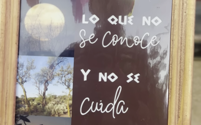 Biofilia, un proyecto ambiental que atesora la flora y fauna local